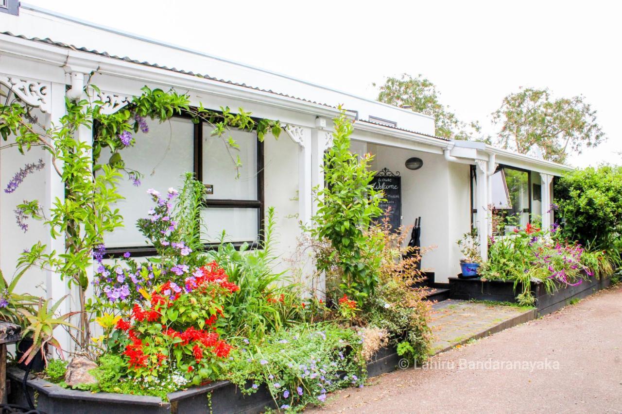 Le Chalet Waiheke Apartments Ostend Екстериор снимка